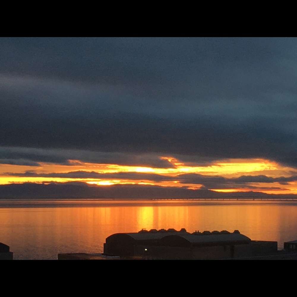 Meet your Posher, Colleen